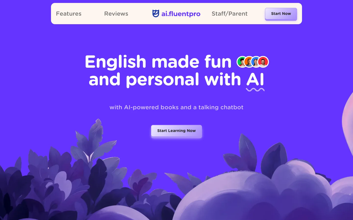 Fluent Pro website screenshot