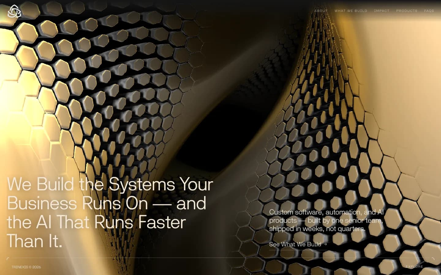 Trinexis Tech website screenshot